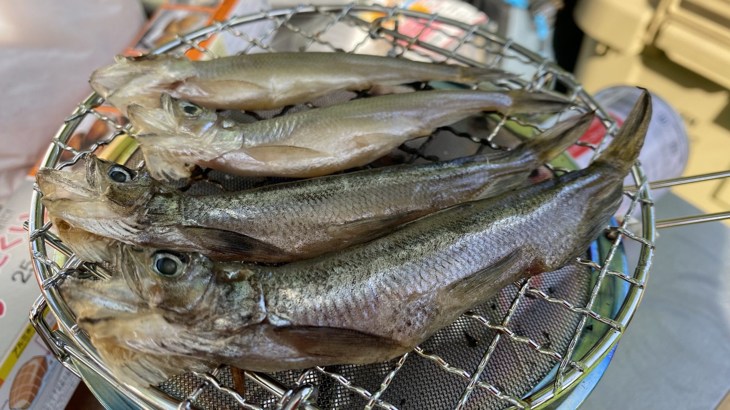 ちょっとした焼き物に ユニフレームのミニロースターが最高なので感動を伝えたい なかチャンネル